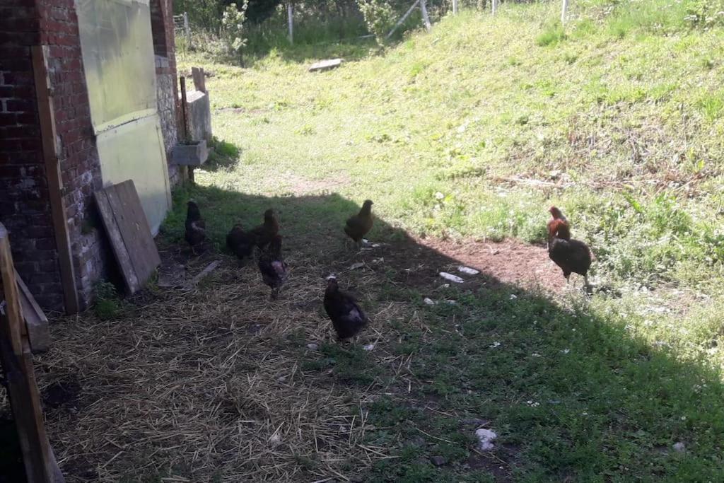 Les Gites Du Val Renoux Fécamp Dış mekan fotoğraf